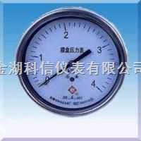 膜盒壓力表壓力表